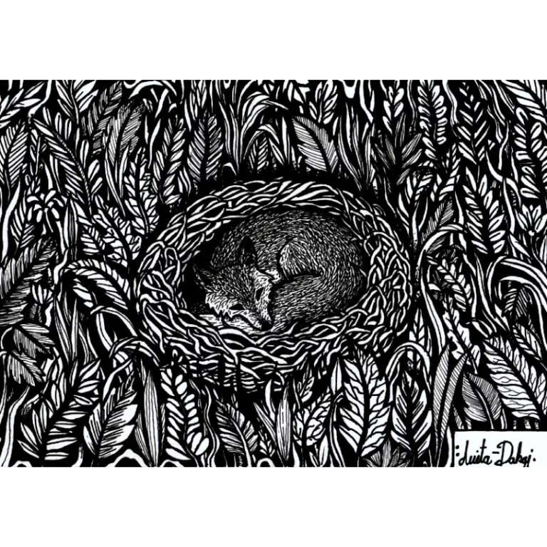 Nest