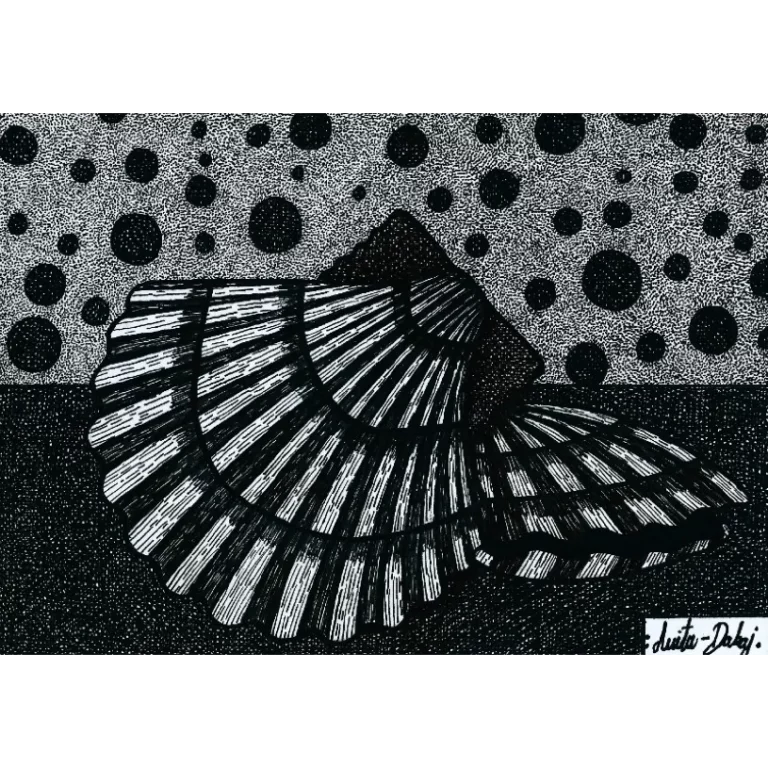 Shell