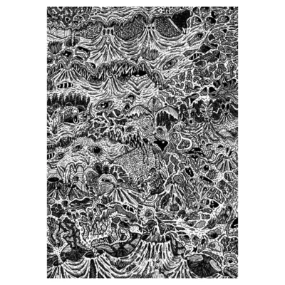 The Visitors print
