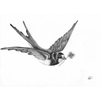 Swallow Bird